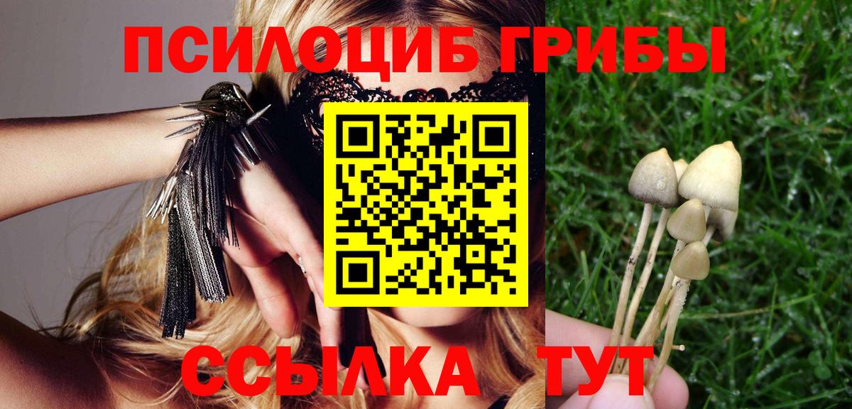 Псилоцибиновые грибы Psilocybe  Галлюциногенные грибы Cubensis  где продают наркотики  Большой Камень  Вход с VPN 